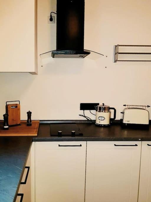 Komfortables Apartment Im Zentrum Erfurts Eksteriør billede