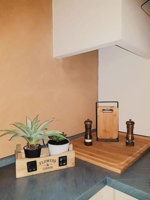 Komfortables Apartment Im Zentrum Erfurts Eksteriør billede