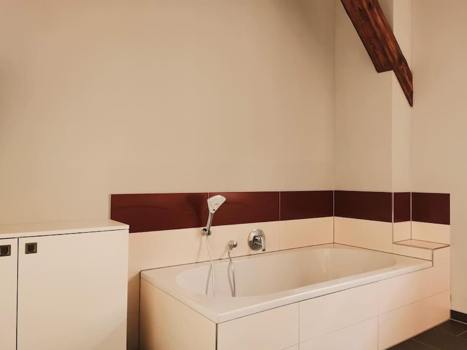 Komfortables Apartment Im Zentrum Erfurts Eksteriør billede